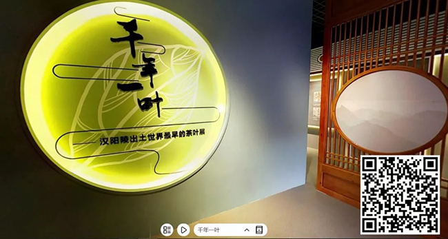 182.千年一叶——汉阳陵出土世界最早茶叶展【汉景帝阳陵博物院】.jpg